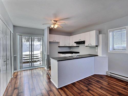 Kitchen - A-222 Rue Sandy, Sainte-Sophie, QC - Indoor Photo Showing Kitchen With Double Sink