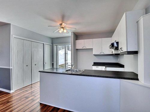 Kitchen - A-222 Rue Sandy, Sainte-Sophie, QC - Indoor Photo Showing Kitchen