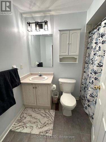 16 - 32 Palomino Trail, Halton Hills, ON - Indoor Photo Showing Bathroom