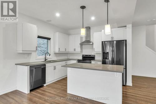 235 Byers Street, London, ON - Indoor Photo Showing Kitchen With Upgraded Kitchen