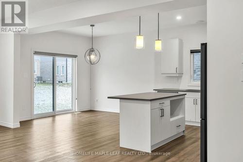 235 Byers Street, London, ON - Indoor Photo Showing Kitchen