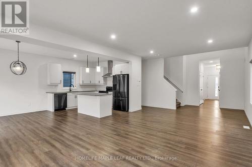 235 Byers Street, London, ON - Indoor Photo Showing Kitchen With Upgraded Kitchen