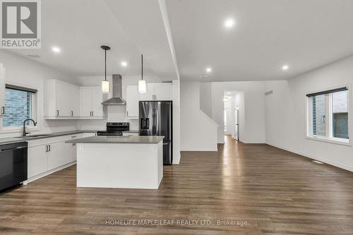 235 Byers Street, London, ON - Indoor Photo Showing Kitchen With Upgraded Kitchen