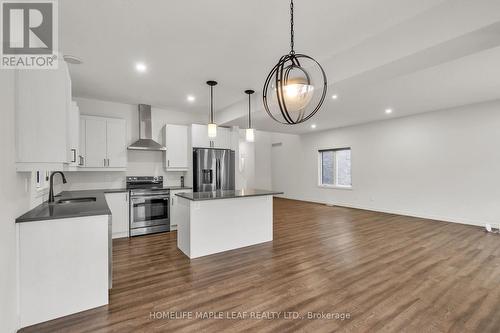 235 Byers Street, London, ON - Indoor Photo Showing Kitchen With Upgraded Kitchen