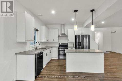 235 Byers Street, London, ON - Indoor Photo Showing Kitchen With Upgraded Kitchen