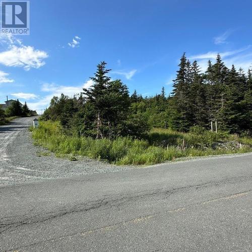 638 Indian Meal Line, Portugal Cove-St. Philips, NL 