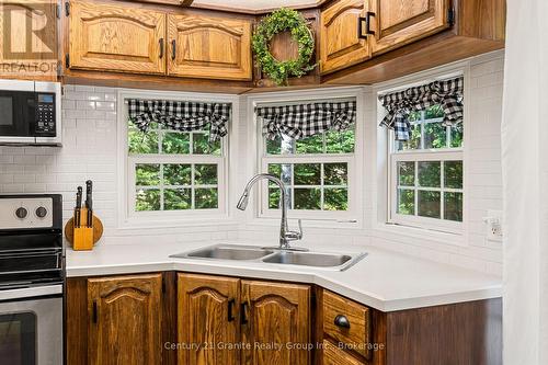 19 Highbush Road, Hastings Highlands, ON - Indoor Photo Showing Kitchen With Double Sink