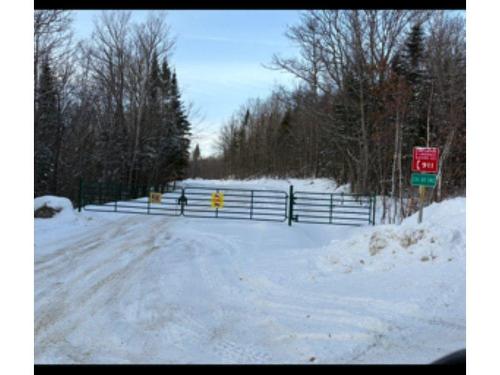 Autre - 1Z Ch. Du Petit-Lac-Long, Mandeville, QC 