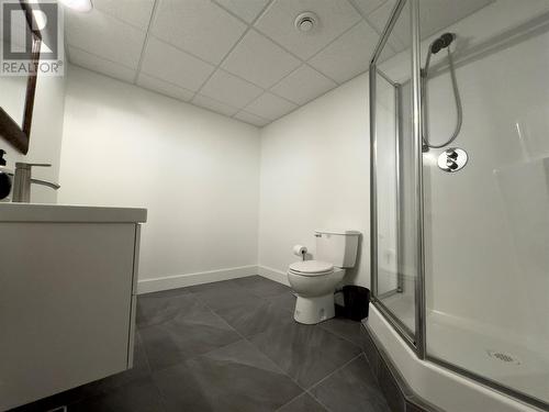 34A Bugden'S Cove Road, Norris Point, NL - Indoor Photo Showing Bathroom