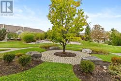 Common Area Gardens - 