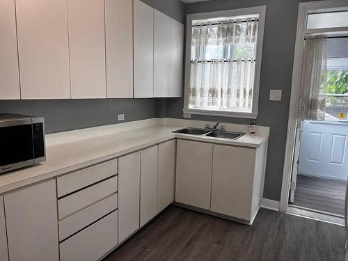 Kitchen - 2644 Rue Hogan, Montréal (Ville-Marie), QC - Indoor Photo Showing Kitchen With Double Sink