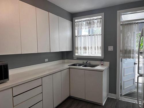 Kitchen - 2644 Rue Hogan, Montréal (Ville-Marie), QC - Indoor Photo Showing Kitchen With Double Sink