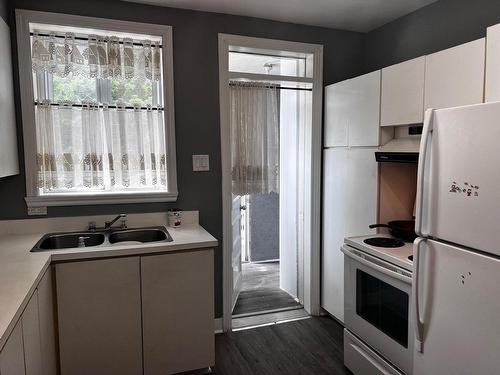 Kitchen - 2644 Rue Hogan, Montréal (Ville-Marie), QC - Indoor Photo Showing Kitchen With Double Sink