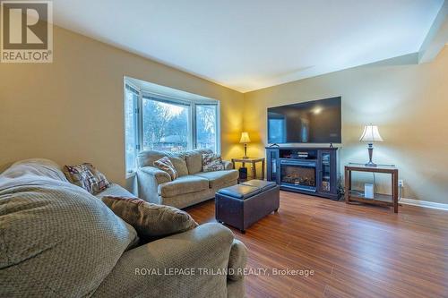 34 Strathcona Drive, London, ON - Indoor Photo Showing Living Room With Fireplace