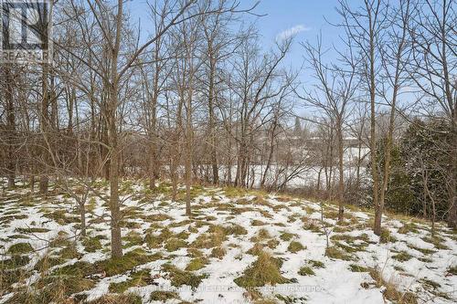 68 Kent Street, Cambridge, ON - Outdoor With View