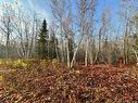 Lot 2 O'Keefe, Miramichi, NB 