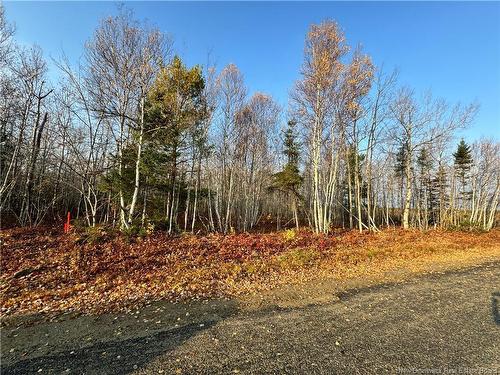 Lot 2 O'Keefe, Miramichi, NB 