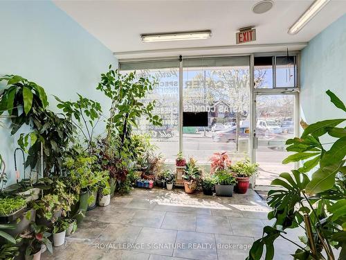 3142 Dundas Street W, Toronto, ON 