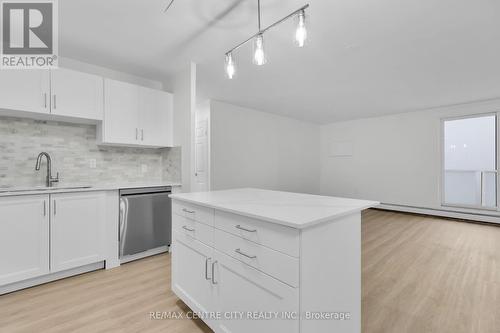 1002 - 583 Mornington Avenue, London, ON - Indoor Photo Showing Kitchen