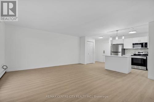 1002 - 583 Mornington Avenue, London, ON - Indoor Photo Showing Kitchen