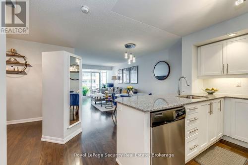 709 - 85 East Liberty Street, Toronto, ON - Indoor Photo Showing Kitchen With Upgraded Kitchen