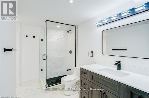 492 Birch Street, Collingwood, ON - Indoor Photo Showing Bathroom