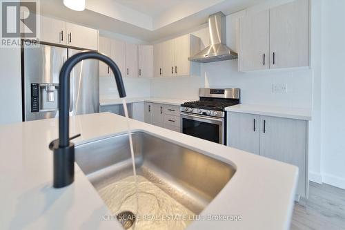 29 Bensley Lane, Hamilton, ON - Indoor Photo Showing Kitchen With Stainless Steel Kitchen With Double Sink