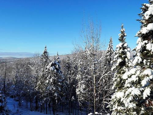 View - B-78 Ch. Des Lacs, Lac-Beauport, QC - Outdoor With View