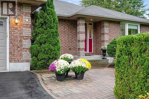 84 Wasaga Sands Drive, Wasaga Beach, ON - Outdoor