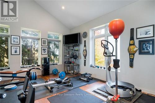 107 Maple Lane, Blue Mountains (Blue Mountain Resort Area), ON - Indoor Photo Showing Gym Room