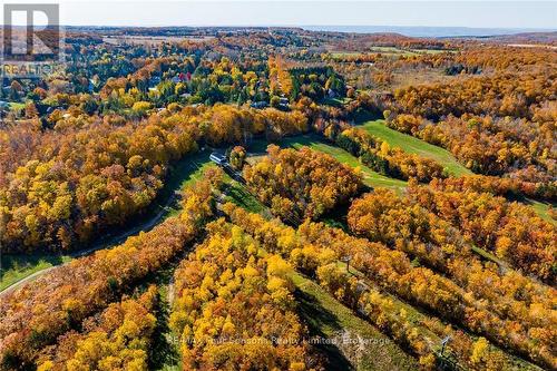 107 Maple Lane, Blue Mountains (Blue Mountain Resort Area), ON - Outdoor With View