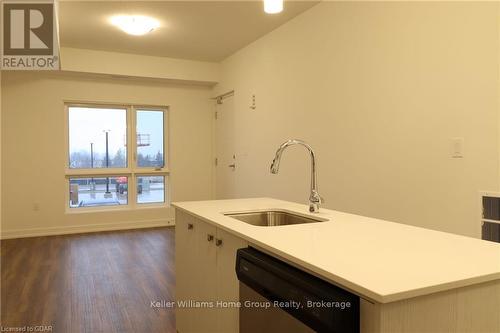 A15 - 10 Palace Street, Kitchener, ON - Indoor Photo Showing Kitchen