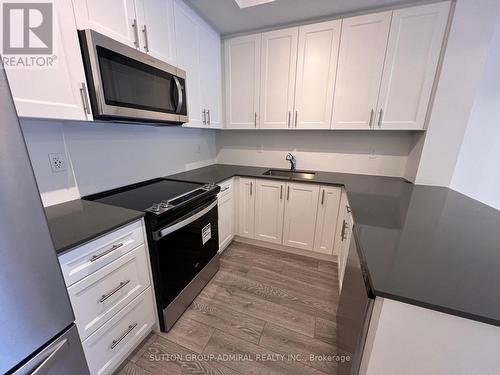 10 - 22 Lytham Green Circle, Newmarket, ON - Indoor Photo Showing Kitchen