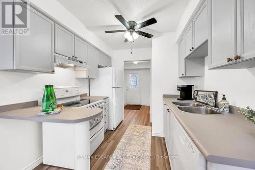 376 Silverbirch Boulevard, Hamilton, ON - Indoor Photo Showing Kitchen With Double Sink