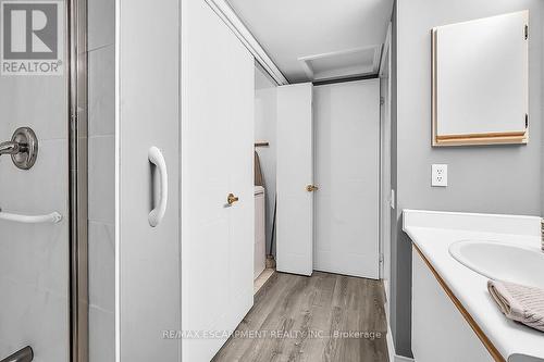 376 Silverbirch Boulevard, Hamilton, ON - Indoor Photo Showing Bathroom