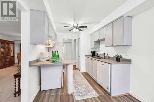 376 Silverbirch Boulevard, Hamilton, ON - Indoor Photo Showing Kitchen With Double Sink