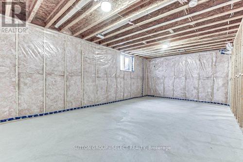 south end open space - 123 Foxborough Place, Thames Centre (Thorndale), ON - Indoor Photo Showing Basement