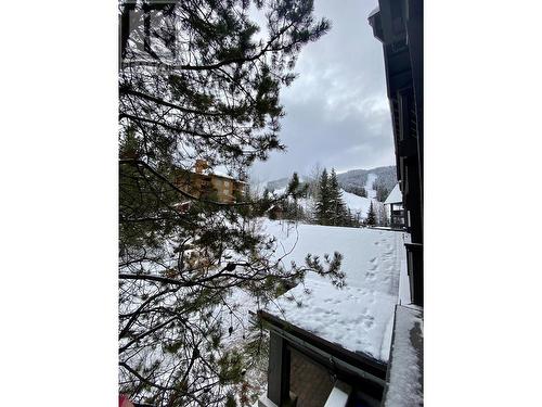 2060 Summit Drive Unit# 313, Panorama, BC - Outdoor