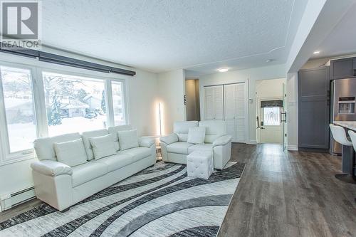 17 Linstedt St, Sault Ste. Marie, ON - Indoor Photo Showing Living Room