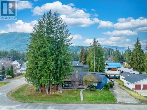 802 Yew Avenue, Sicamous, BC - Outdoor With View