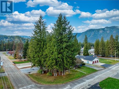 802 Yew Avenue, Sicamous, BC - Outdoor With View