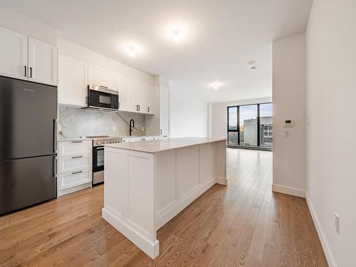 Vue d'ensemble - 308-1000 Rue Levert, Montréal (Verdun/Île-Des-Soeurs), QC - Indoor Photo Showing Kitchen