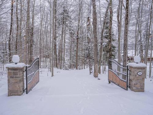 ExtÃ©rieur - 286 Route Laflamme, Lac-Poulin, QC - Outdoor