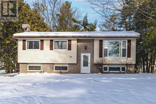 53 Ward Avenue, Oro-Medonte, ON - Outdoor