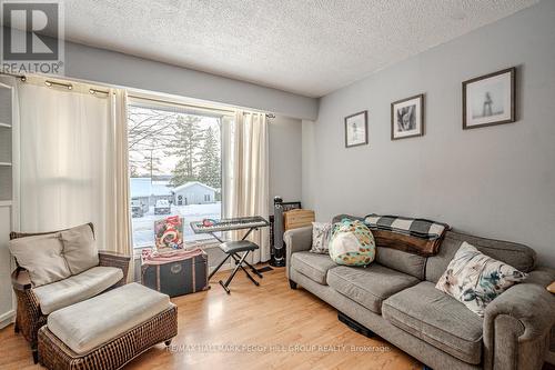 53 Ward Avenue, Oro-Medonte, ON - Indoor Photo Showing Living Room