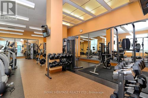 2006 - 181 Wynford Drive, Toronto, ON - Indoor Photo Showing Gym Room