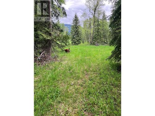 3201 Creighton Valley Road, Cherryville, BC - Outdoor