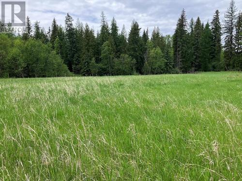 Rear hay pasture. - 3201 Creighton Valley Road, Cherryville, BC - Outdoor