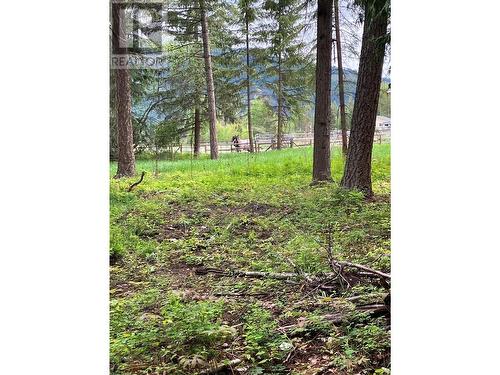 3201 Creighton Valley Road, Cherryville, BC - Outdoor With View