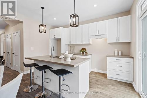 3356 Willguard Court, Niagara Falls (223 - Chippawa), ON - Indoor Photo Showing Kitchen With Upgraded Kitchen